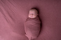 Stella Rose